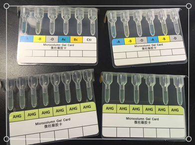 microcolumn gel card